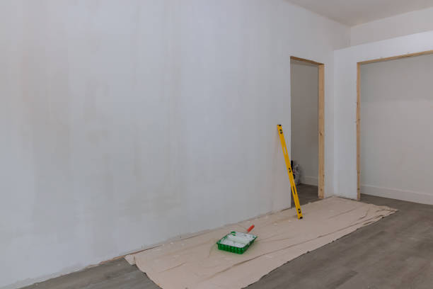 Professional Drywall & Painting Services in Madison Lake, MN